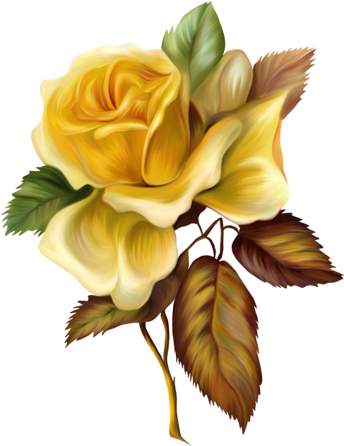 Rose Clip Art Images Rose - Yellow Rose Png (500x645)