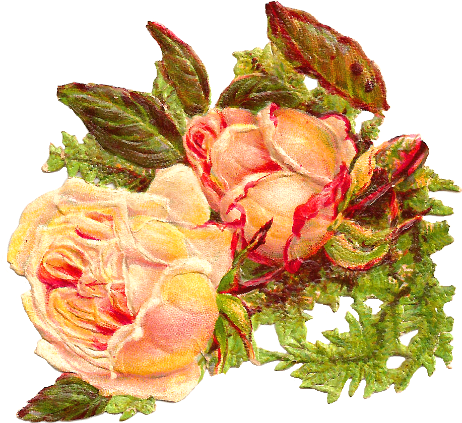 This Is An Antique, Victorian Scrap Of Two Beautiful, - Rose (1210x1121)
