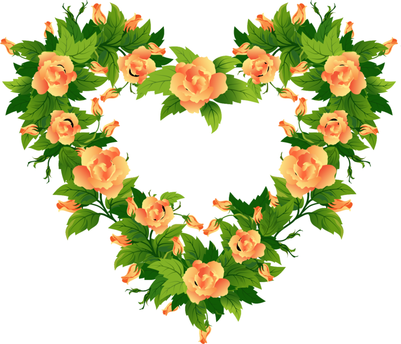 Orange Roses Frames - Photography (800x687)