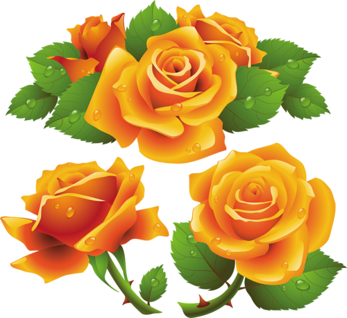 Tattoo Picstattoo Ideasorange Rosesrose Tattoosbeautiful - Yellow Roses Free Vector (500x458)