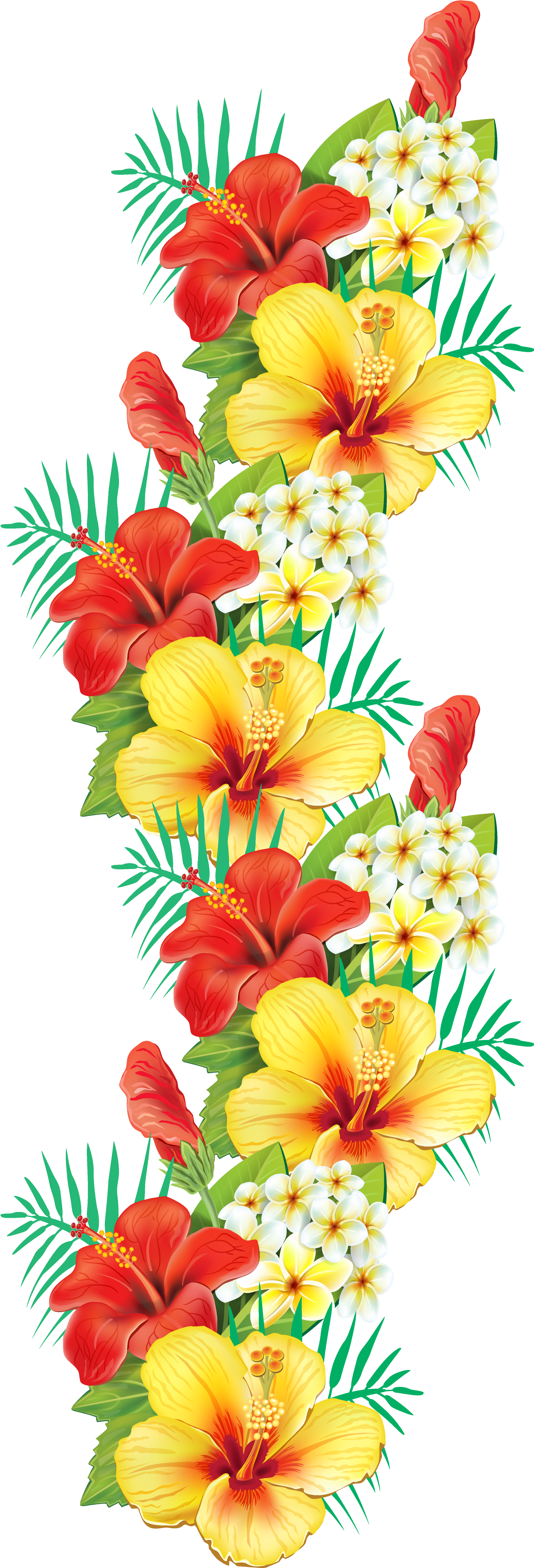 Hibiscus Clipart Decoration - Cafepress Tropical Hibiscus Tile Coaster (1734x4839)