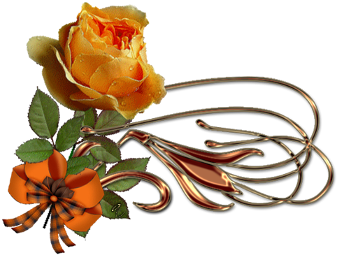 Orange Roses - Belle Soiree Gif Anime (490x380)