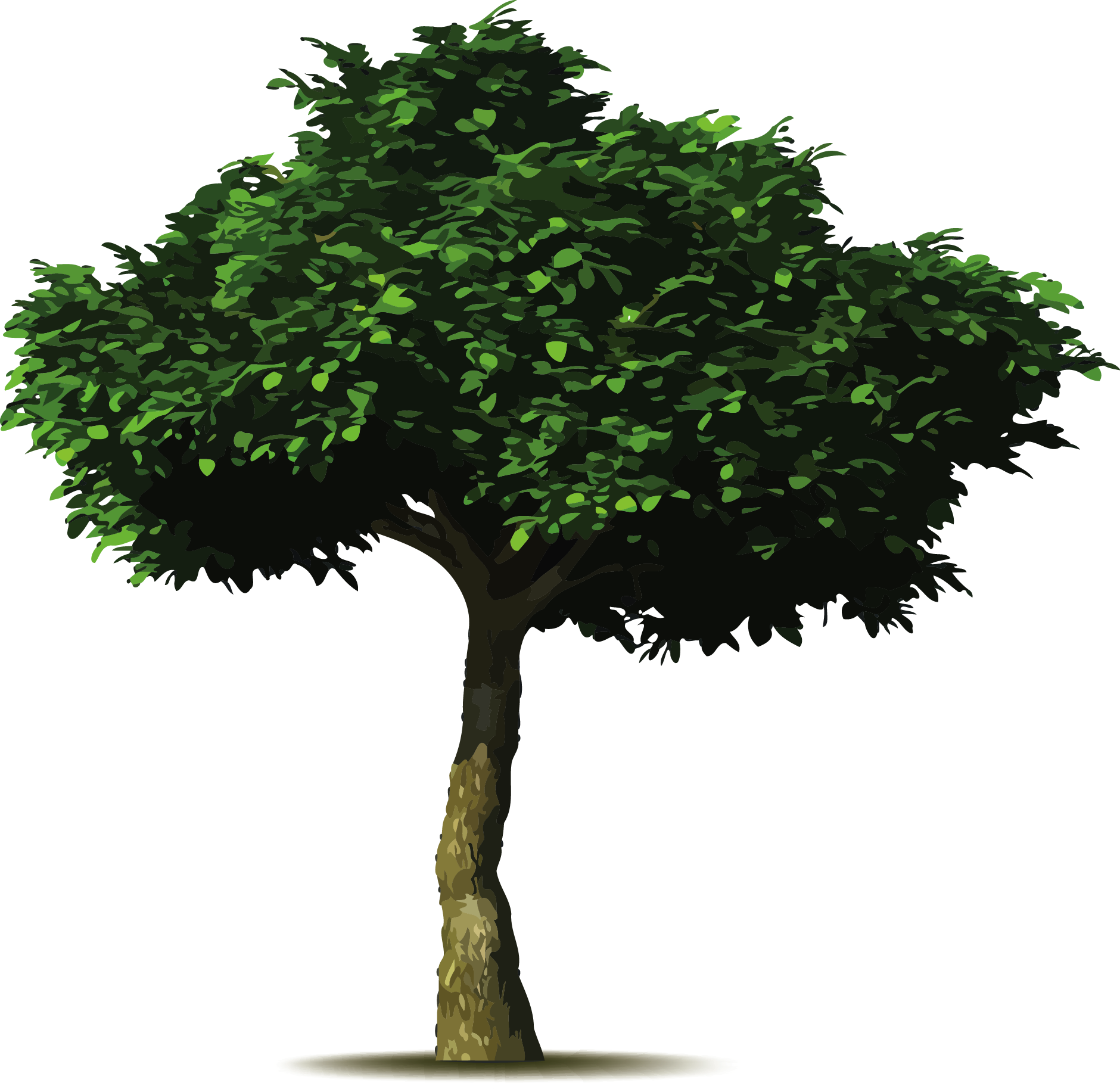 Arbol Simbolo / - Save Water Plant Trees (1880x1828)