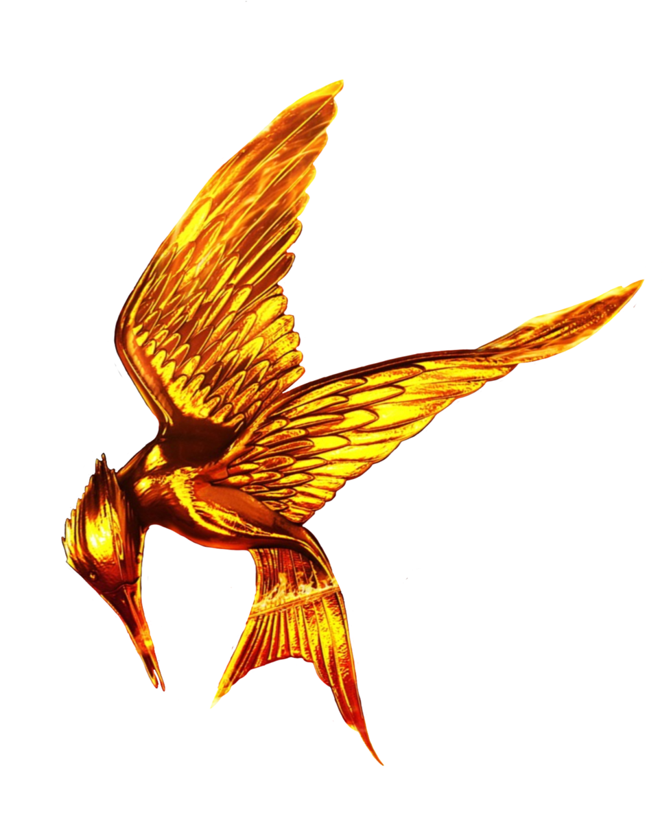 The Hunger Games Movie Logo By Allheartsgoboom - Hunger Games Png (1280x1280)