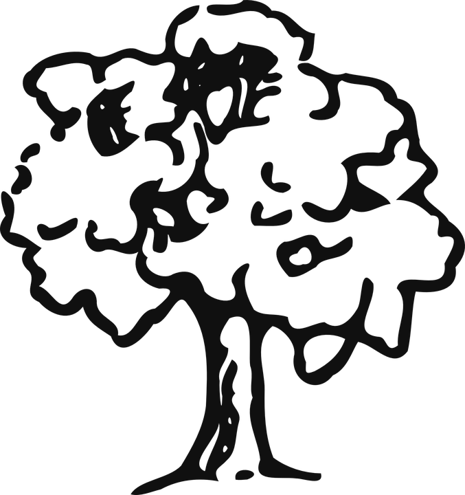 Blue Trunk Cliparts 11, Buy Clip Art - Nucleo Zoologico El Bosque (677x720)