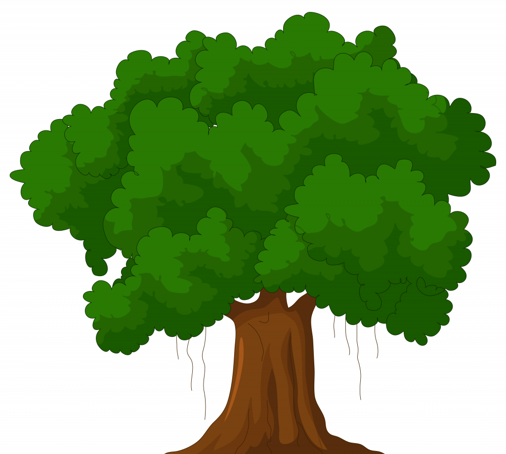 Innovative Cartoon Pictures Of A Tree Green Png Clipart - Jennifer The Brave [book] (1024x919)