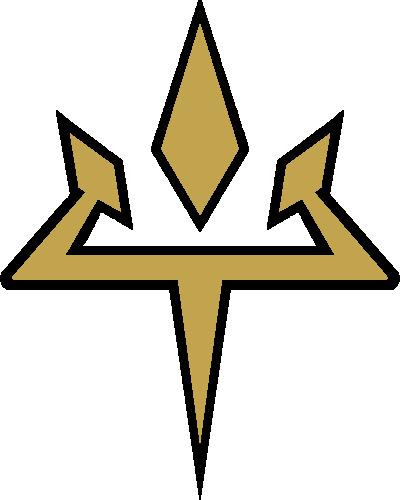 Aether Foundation - Pokemon Aether Foundation Logo (400x500)