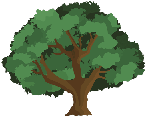 The Oak Tree Service - Types Of Chestnut Trees (1032x817)