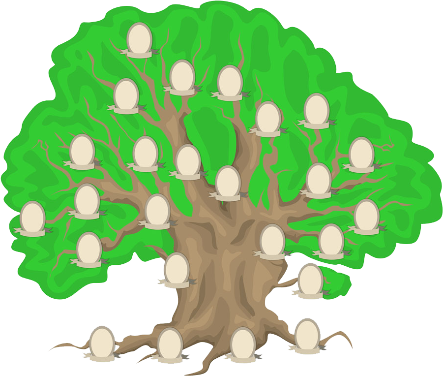 Paper Genealogy Family Tree Family History - Paper Genealogy Family Tree Family History (1000x788)