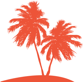 Palmtree - Palm Tree (482x276)