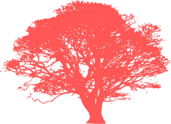 Oak Tree Clip Art Black And White (600x436)