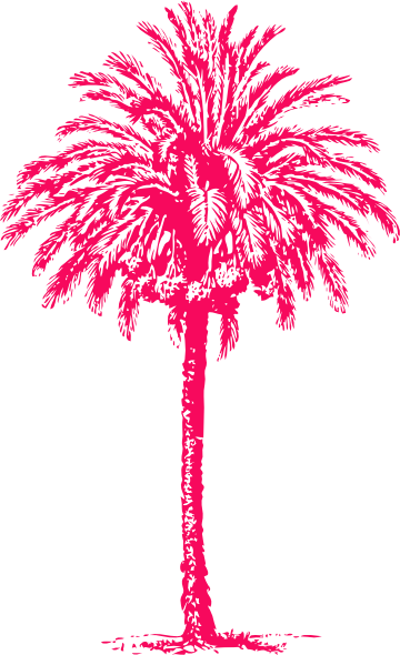 Line Drawings Palm Tree (360x590)