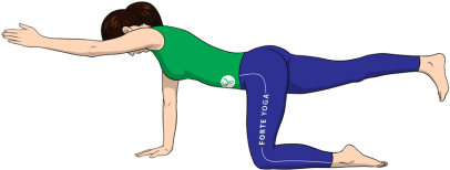 Hands And Knees Balance Yoga Pose - Balancing Cat Yoga Pose (420x315)