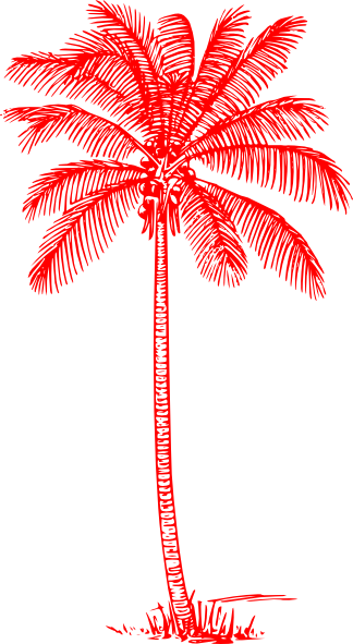 Coconut Tree Clipart Black And White (324x591)