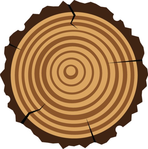 699 Graphic Illustration - Wood Log Clipart (475x480)