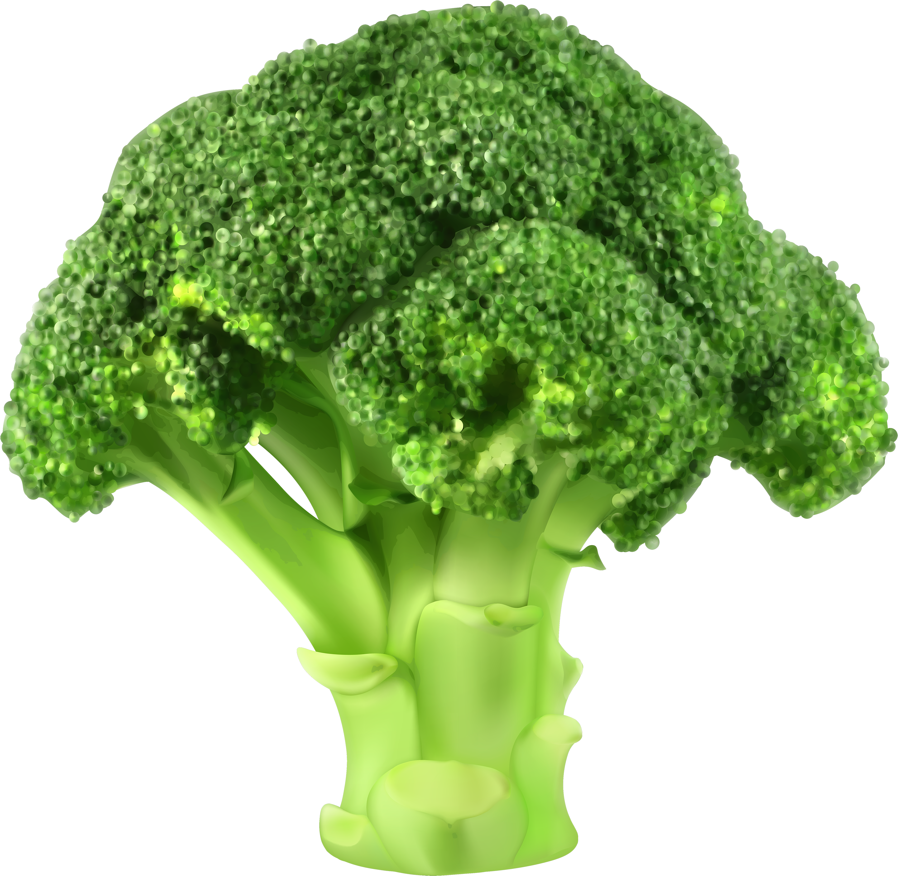 Broccoli Png Clipart - Vegetable Seeds-heirloom Seeds-tomato Seeds-spinach (3000x2998)