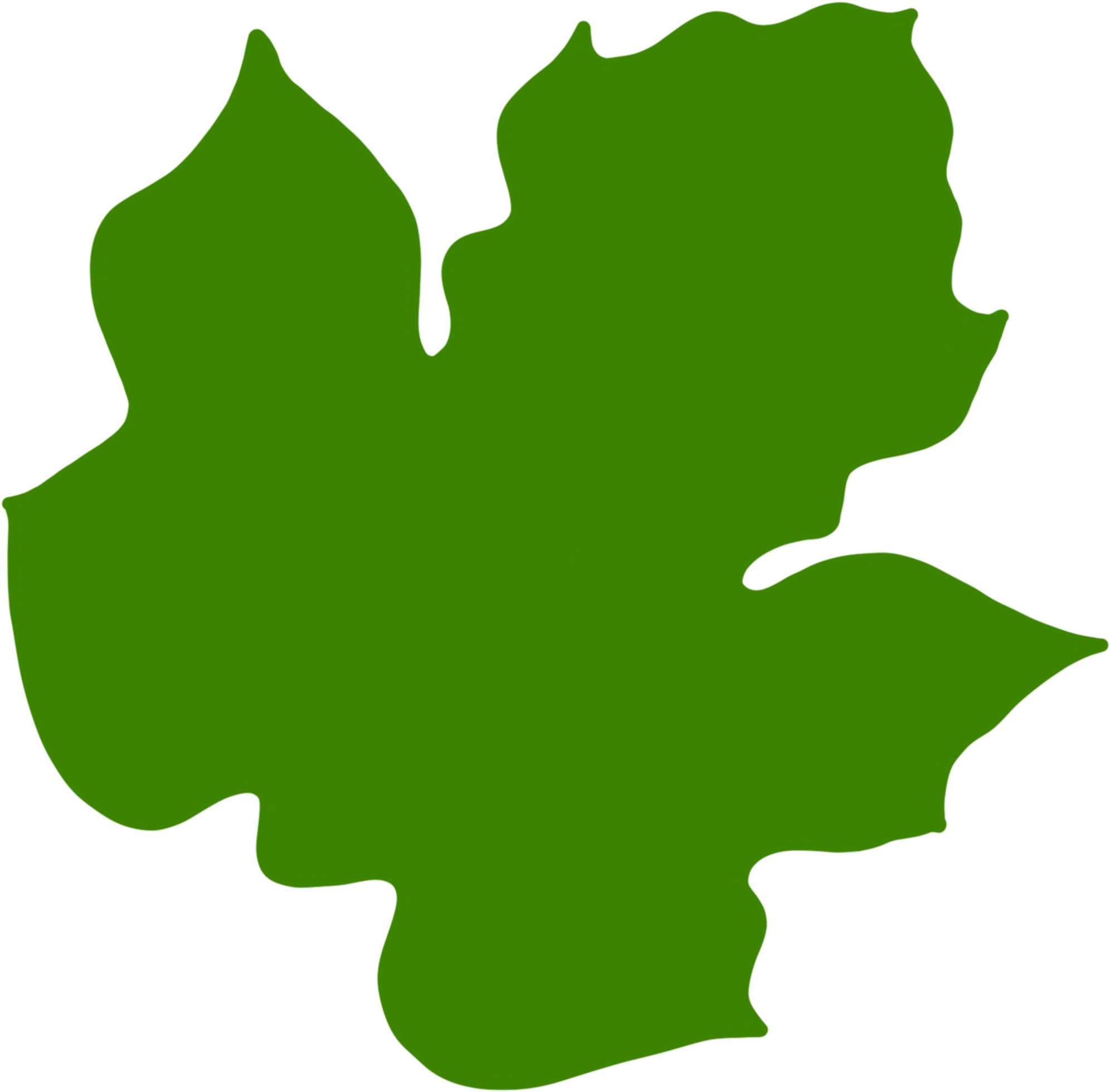 Free Pumpkin Leaf Png - Luck (2048x2048)