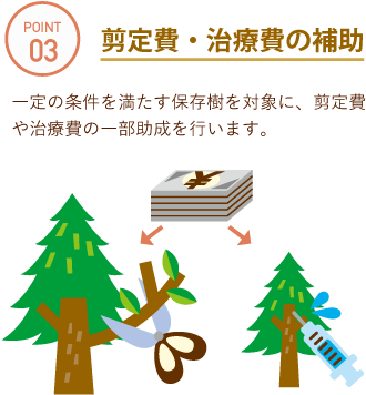 資料：国土交通省「都市緑化データベース」 - Christmas Tree (362x387)