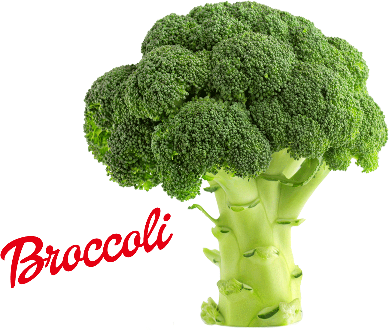 Broccoli Png Image - Much Protein Is In Broccoli (1920x1200)