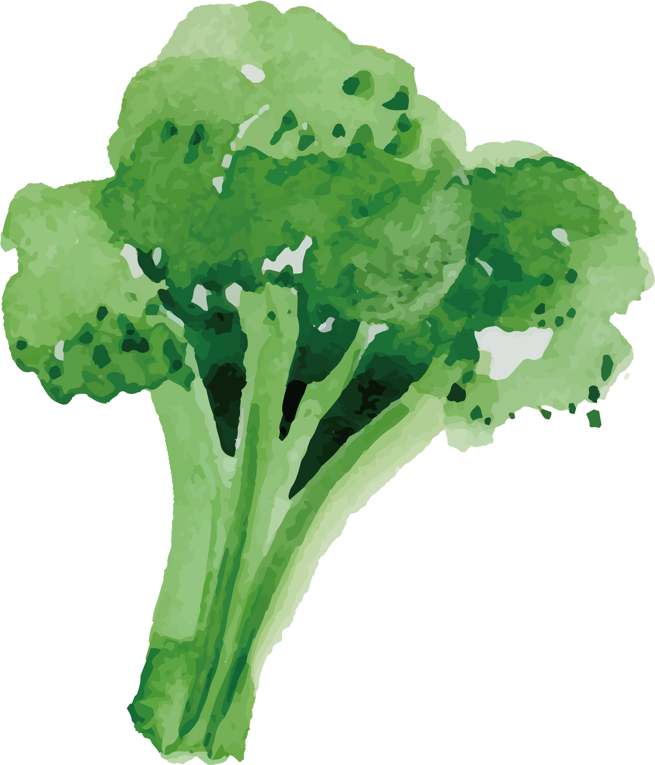 Broccoli Vegetable Food - Broccoli Vegetable Food (2917x2917)