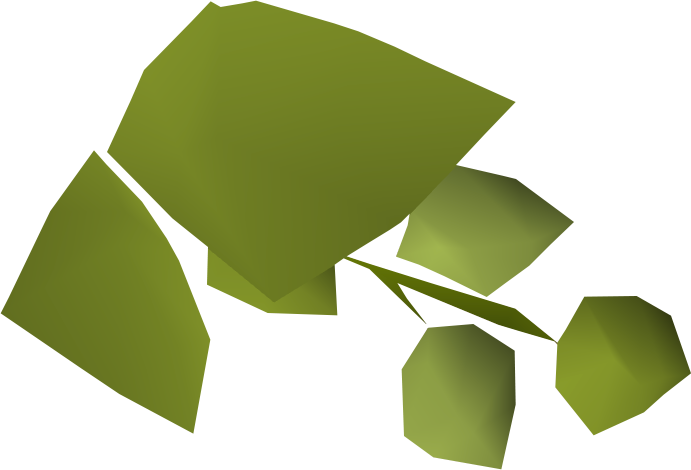 Hammerstone Hops Detail - Hammerstone Hops Detail (691x470)