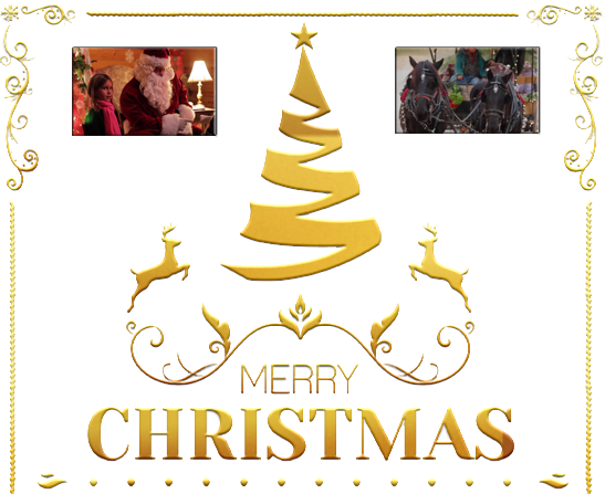 The Adventure Begins - Christmas Tree (547x447)