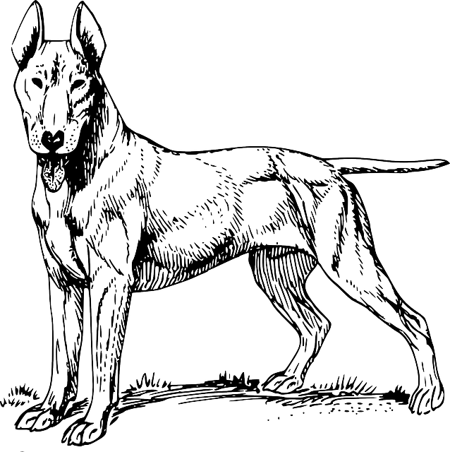 Cartoon, Dog, Bull, English, Pet, Friend - Gambar Anjing Pitbull Animasi (638x640)