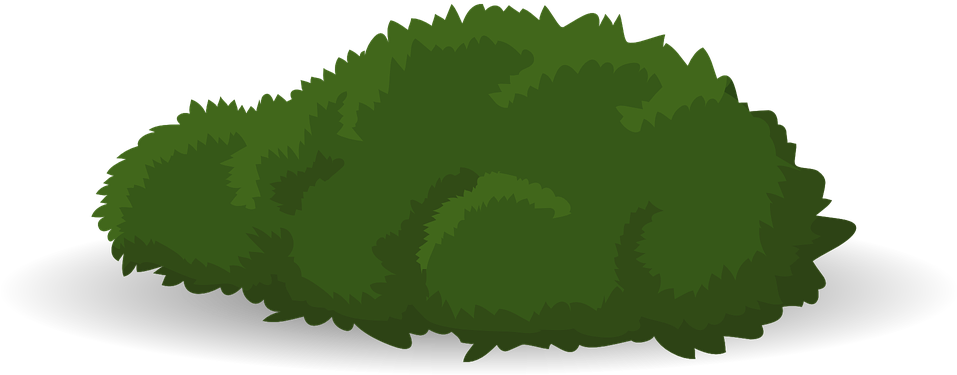 ไม้คลุมดิน มีความสูงน้อยกว่า 30 เซนติเมตร - Arbusto Vector Png (960x480)