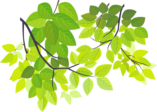 🎼*🎷*🎸*🎻*💃* - - คก - 42 ปี 2 เกมเพาะปลูกต้นเผือก - Drawn Leaf Png (550x392)