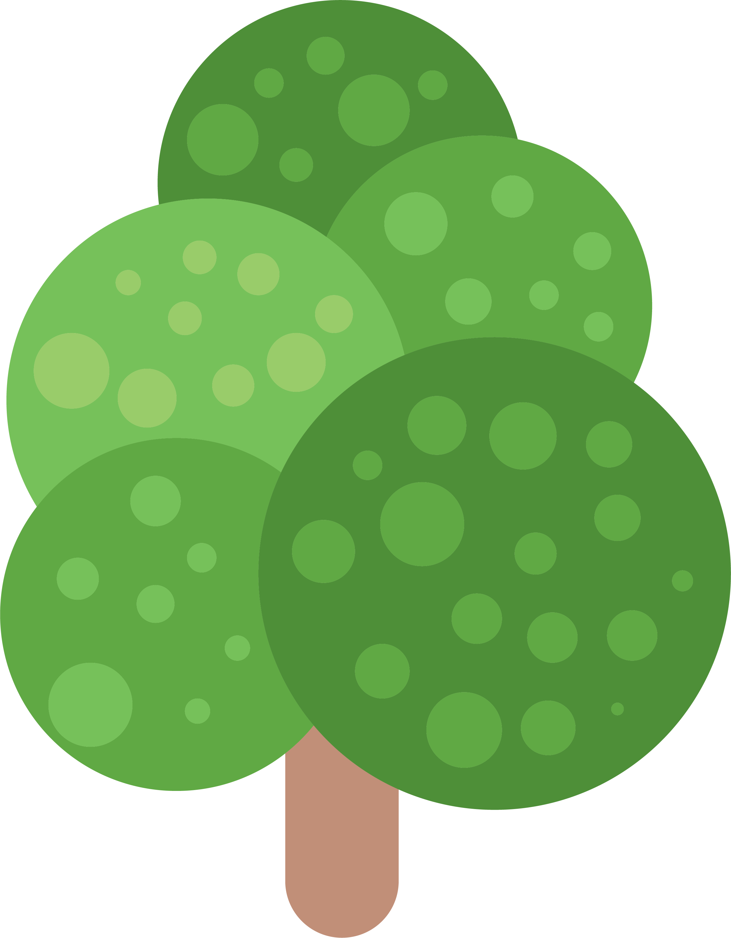 Árbol Verde Círculo - Illustration (2501x3208)