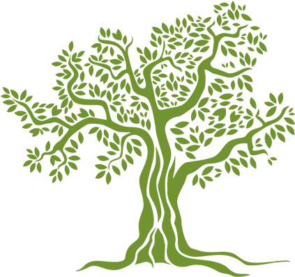 Comprar Aceite De Oliva Ecologico - Illustration Of A Tree (462x421)