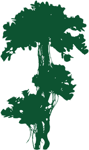 Rama Hojas Verde - Illustration (298x500)