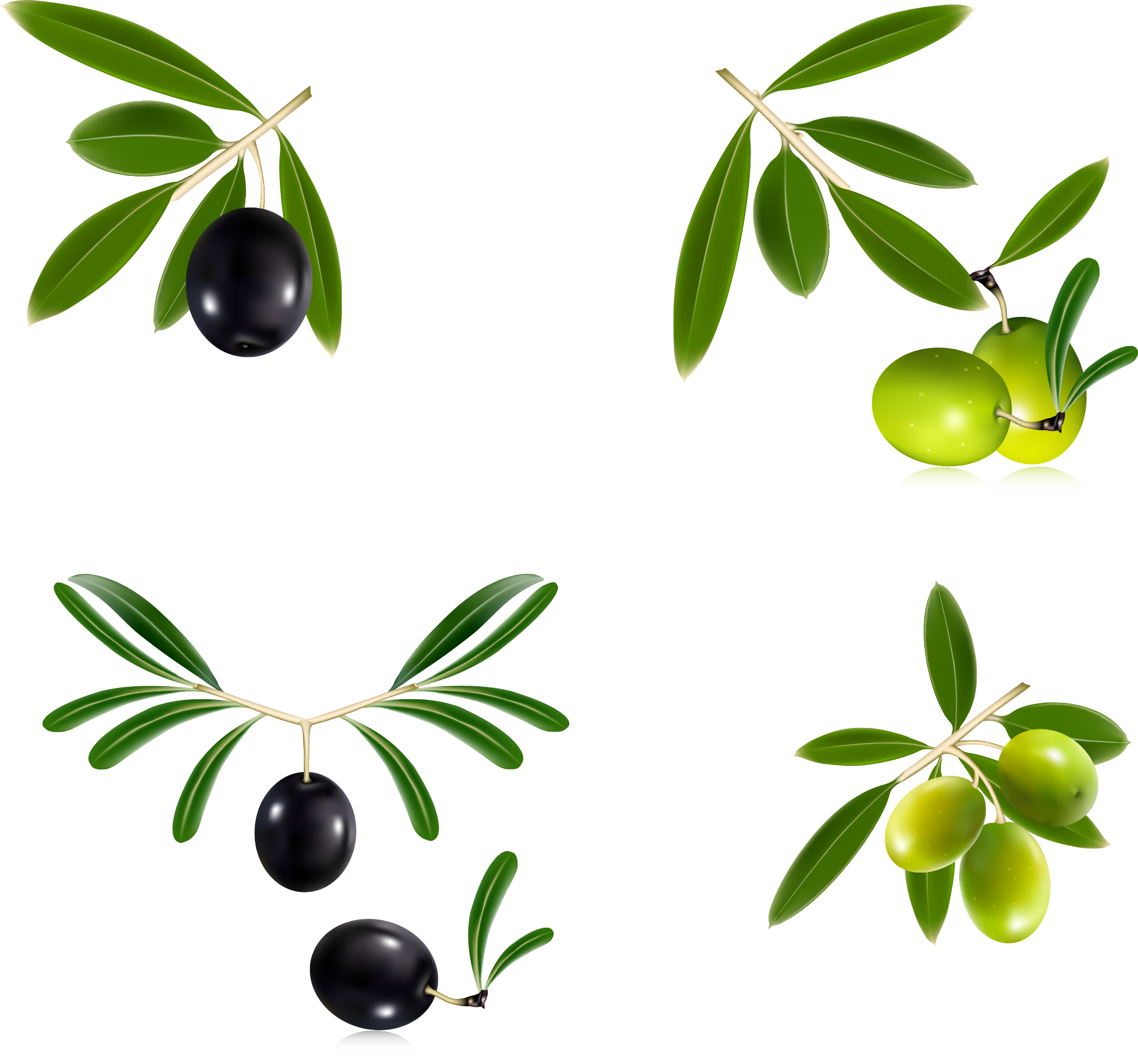 Olive Oil Olive Leaf Olive Wreath - Free Vector Olive Oil (2188x2045)
