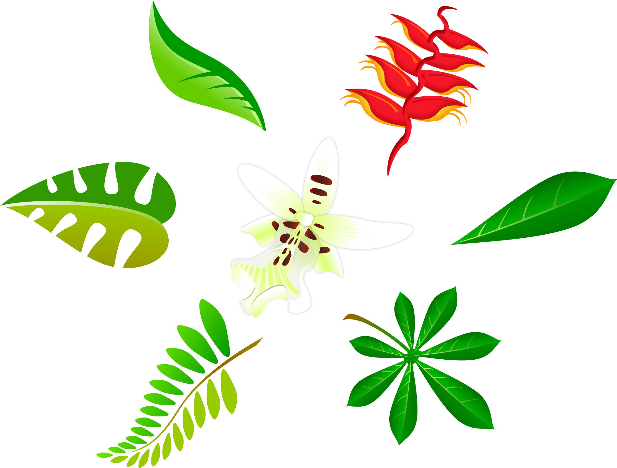 Free Vector Free Leaf Vector Art Package - Leaf Vector Art Png (2004x1524)