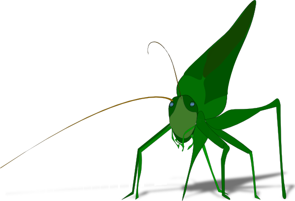 Locust Clip Art - Grasshopper Clipart (600x408)