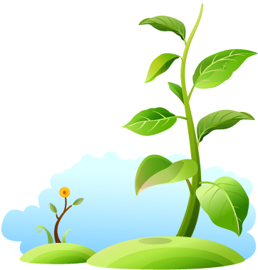 โดยบริษัท สยามฟอร์เรสแมเนจเม้นท์ จำกัด ทั้งในประเทศไทย - 乙型肝炎居家疗法 [book] (406x404)