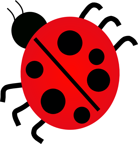 Many Legs Does A Ladybug Have (570x596)