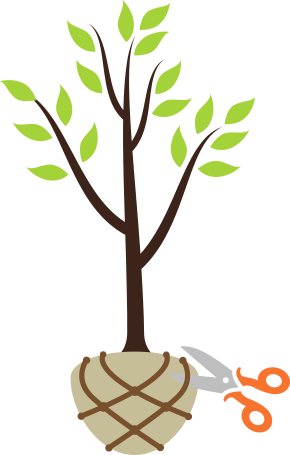 Step3 Ball Cut - Tree (290x455)