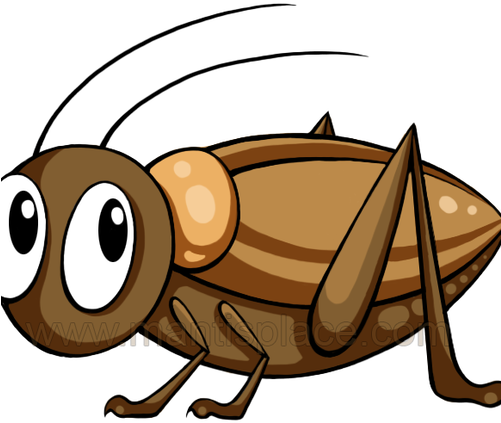 Mantisplace - Cricket Brown Insect Clipart (500x500)