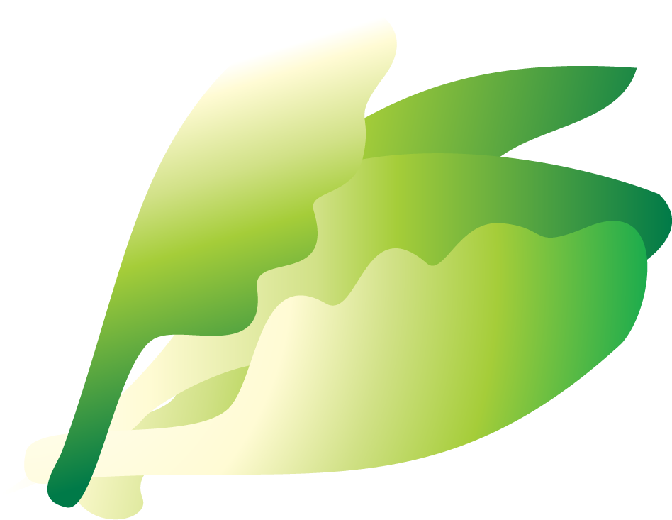 Seder Plate - Seder Plate (948x733)