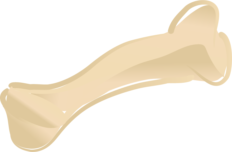 Still Life Photography (976x640)