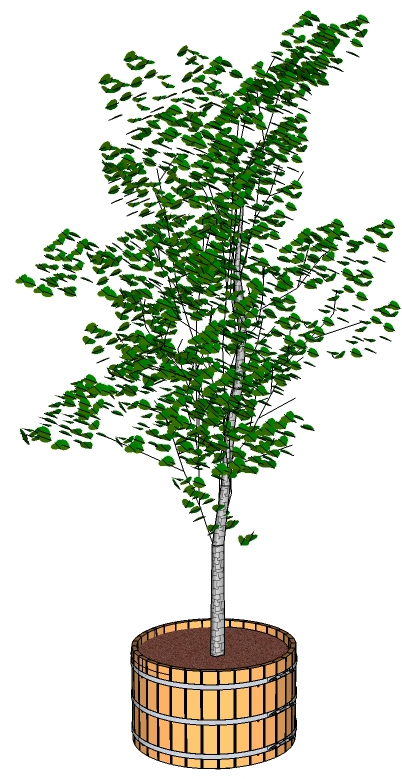 Tree In Tub Png (1212x860)