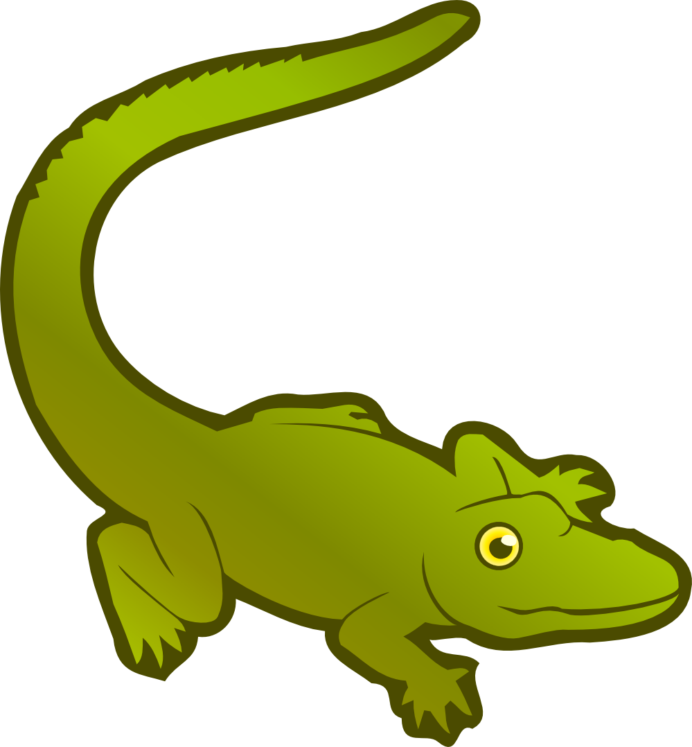Crocodiles American Alligator Chinese Alligator Clip - Crocodiles American Alligator Chinese Alligator Clip (999x1078)