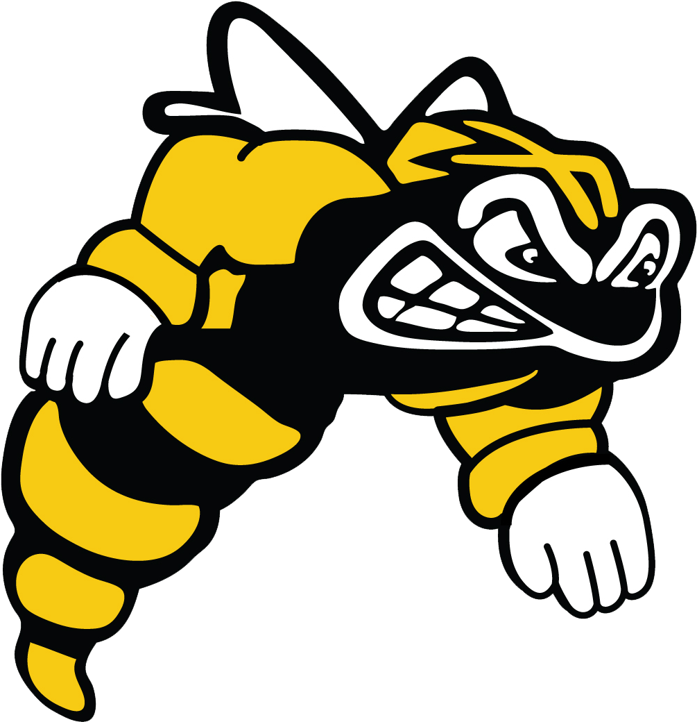 Image - Sar High School Sting (1116x1152)