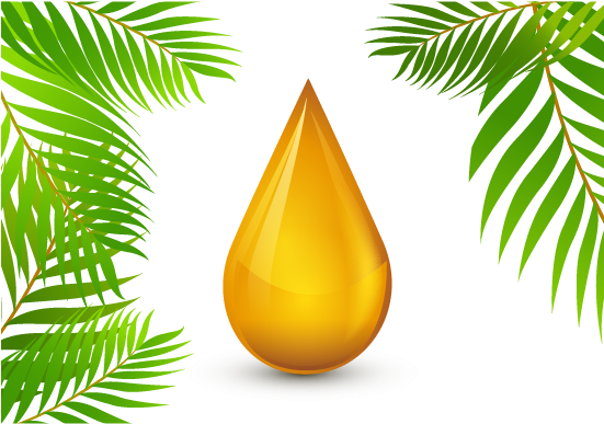 Roundtable On Sustainable Palm Oil Olive Oil - Oil Palm Vector (743x489)