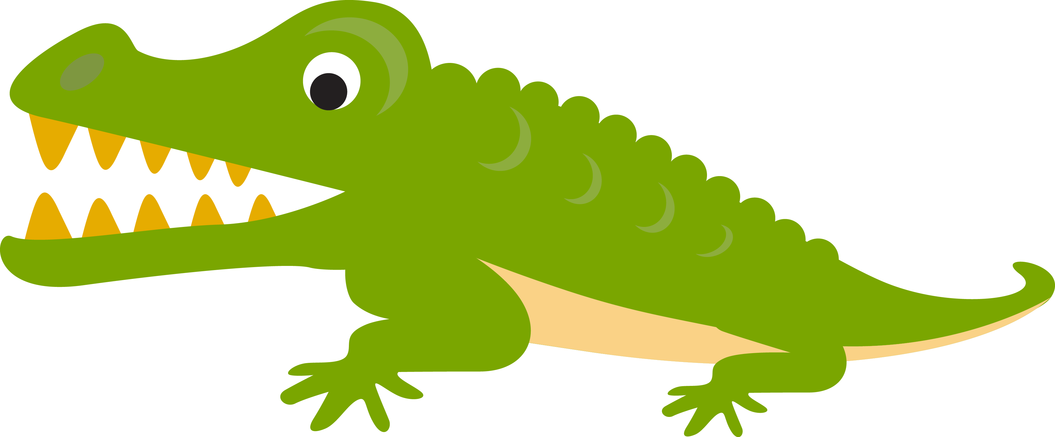 Alligator Crocodile Cartoon Illustration - Crocodile Cartoon Png (3568x1479)