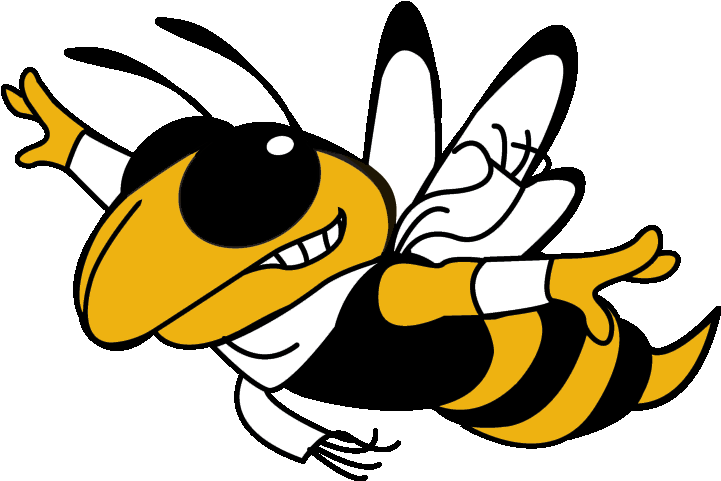 Yellow Jacket Gt (800x500)