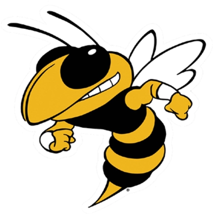 Clinton Yellow Jackets - Georgia Tech Yellow Jackets Football (480x480)