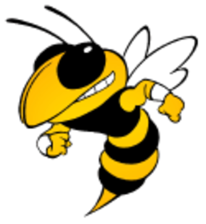 Calhoun Yellow Jackets - Georgia Tech Yellow Jacket Logo (720x783)