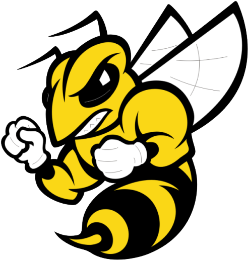 Randolph-macon Mens Soccer Data - Randolph Macon Yellow Jackets (516x516)